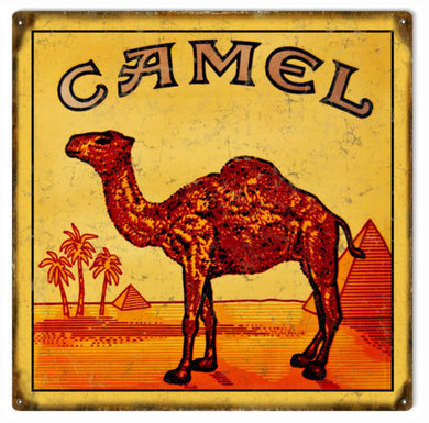 Vintage advertising metal sign featuring Joe Camel and the classic Camel Cigarettes non-filters pack, dimensions 12 inches by 12 inches.