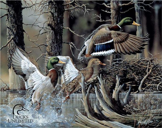 new beaver pond ducks unlimited collection metal sign 16width x 12.5height novelty wall decor